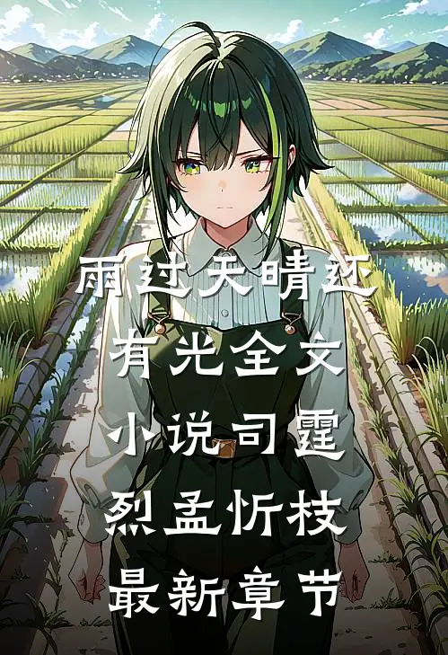 雨过天晴还有光全文小说司霆烈孟忻枝最新章节
