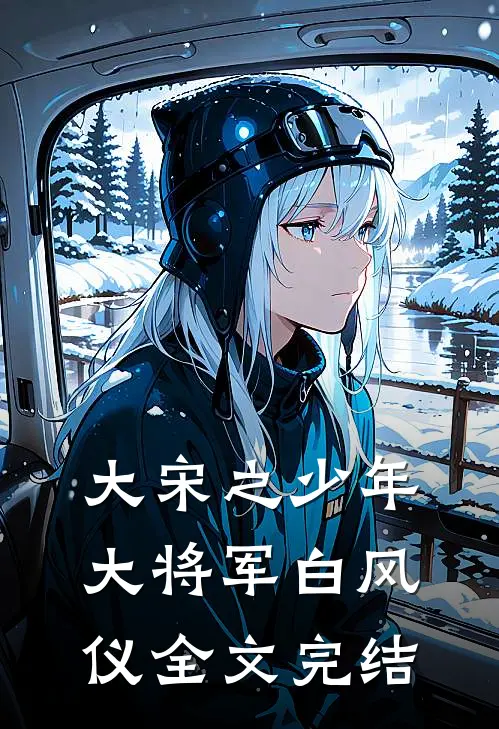 大宋之少年大将军白风仪全文完结