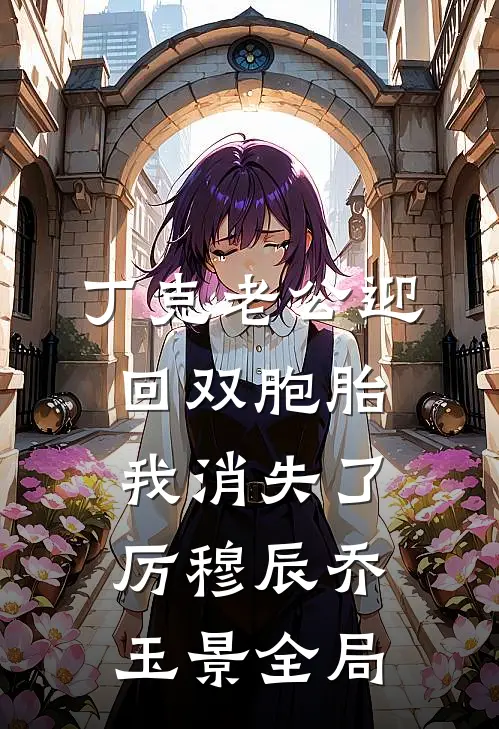丁克老公迎回双胞胎，我消失了厉穆辰乔玉景全局