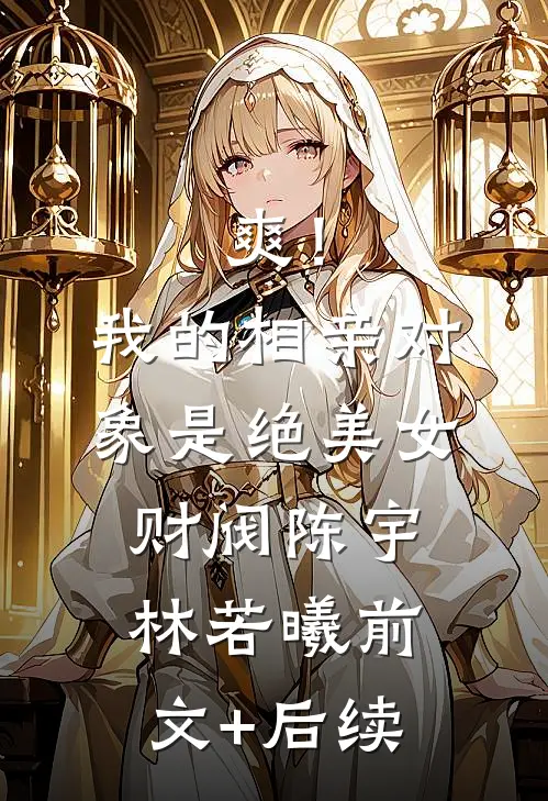 爽！我的相亲对象是绝美女财阀陈宇林若曦前文+后续