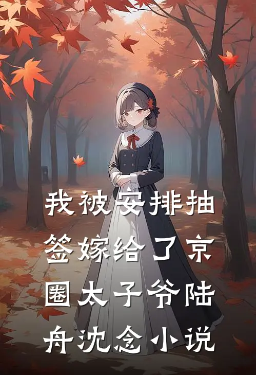我被安排抽签嫁给了京圈太子爷陆舟沈念小说