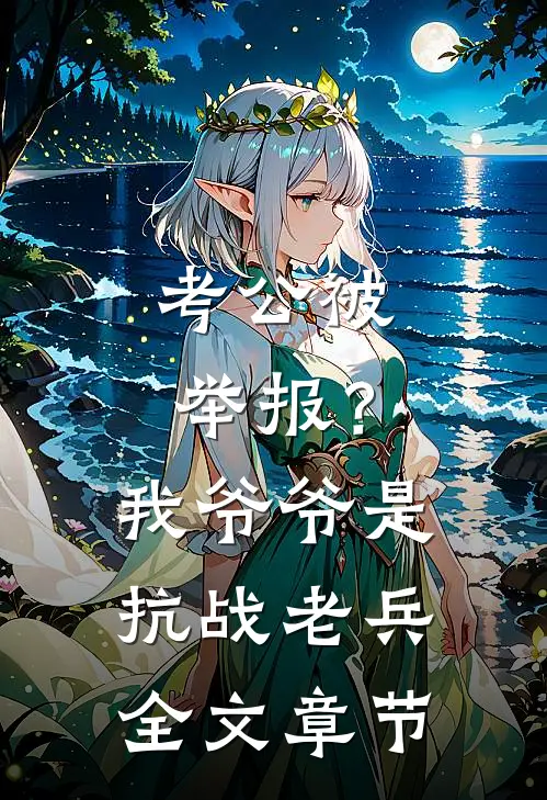 考公被举报？我爷爷是抗战老兵全文章节