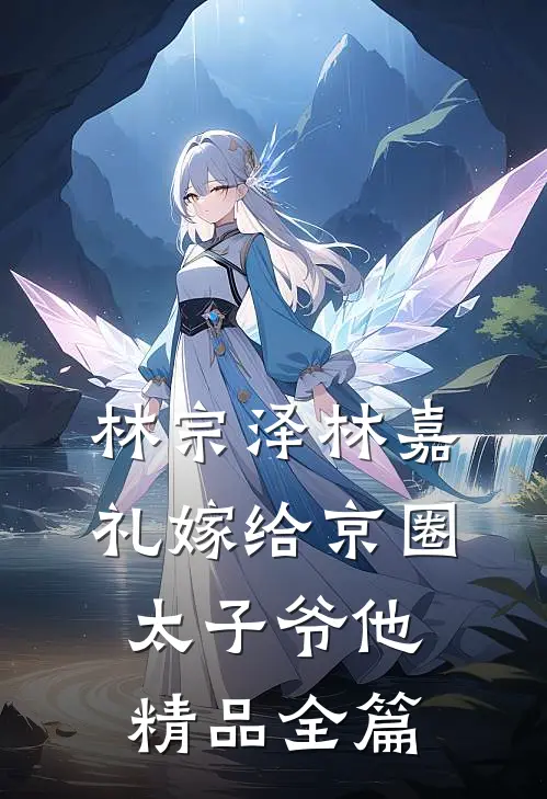 林宗泽林嘉礼嫁给京圈太子爷他精品全篇