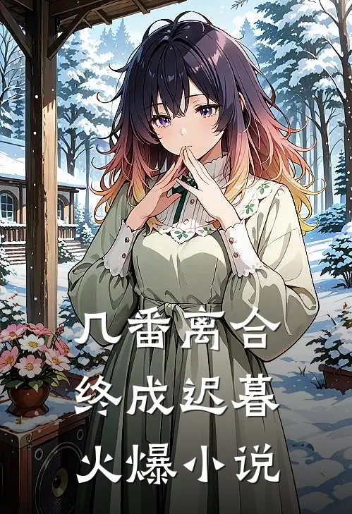几番离合，终成迟暮火爆小说