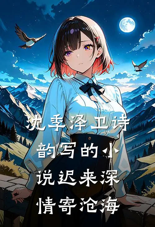 沈季泽卫诗韵写的小说迟来深情寄沧海