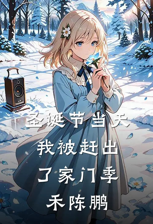 圣诞节当天，我被赶出了家门季禾陈鹏