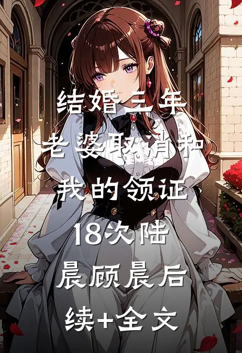结婚三年，老婆取消和我的领证18次陆晨顾晨后续+全文