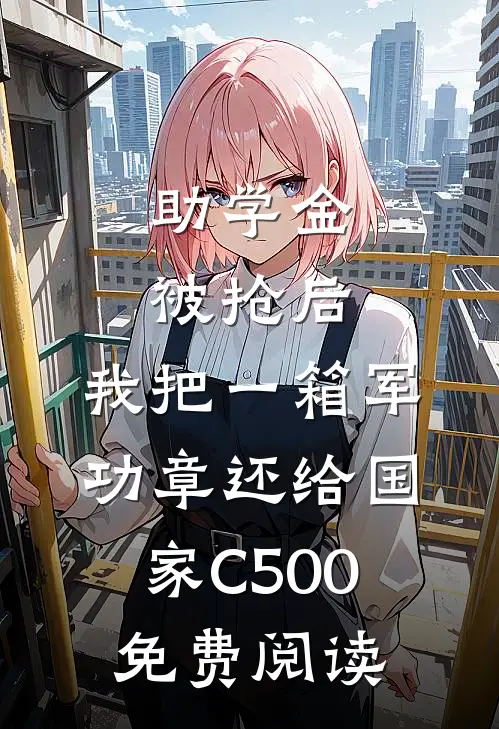 助学金被抢后，我把一箱军功章还给国家C500免费阅读