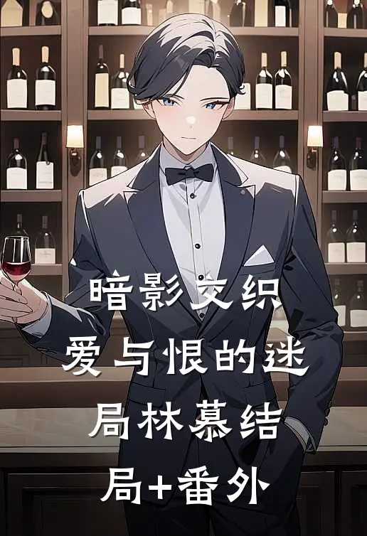 暗影交织：爱与恨的迷局林慕结局+番外