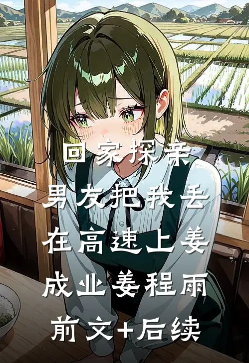 回家探亲，男友把我丢在高速上姜成业姜程雨前文+后续