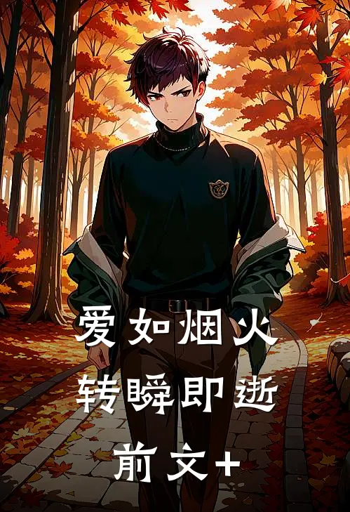 爱如烟火，转瞬即逝前文+