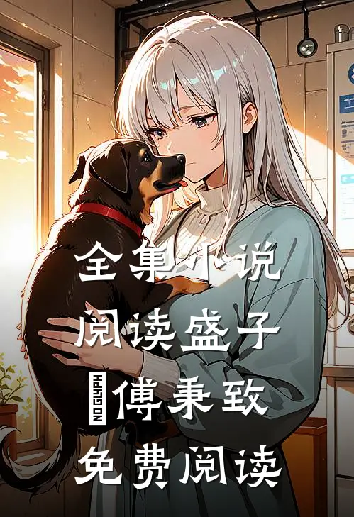 全集小说阅读盛子婳傅秉致免费阅读