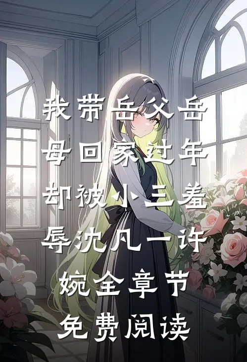 我带岳父岳母回家过年，却被小三羞辱沈凡一许婉全章节免费阅读
