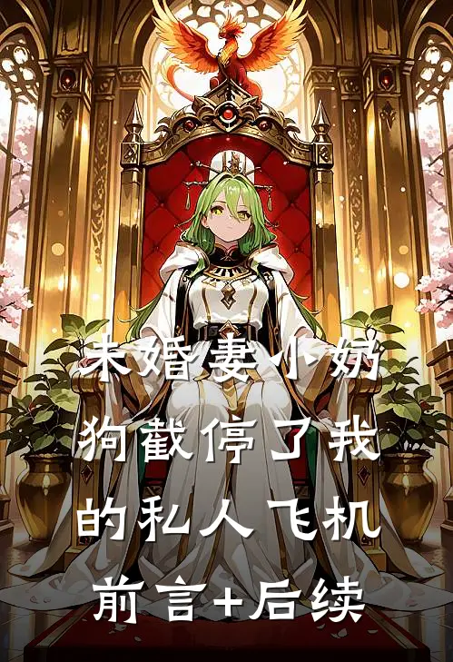 未婚妻小奶狗截停了我的私人飞机前言+后续
