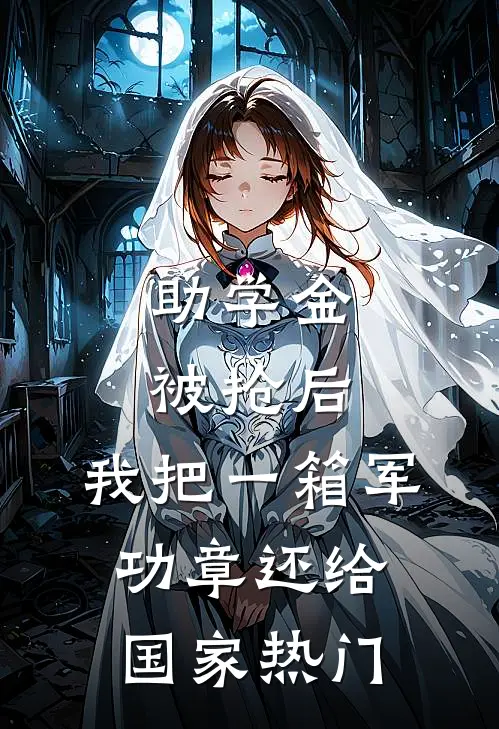 助学金被抢后，我把一箱军功章还给国家热门