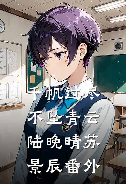 千帆过尽，不坠青云陆晚晴苏景辰番外