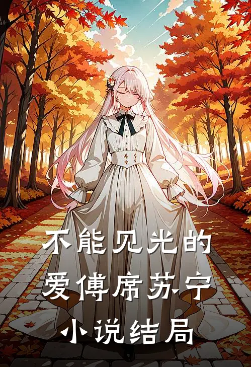 不能见光的爱傅席苏宁小说结局