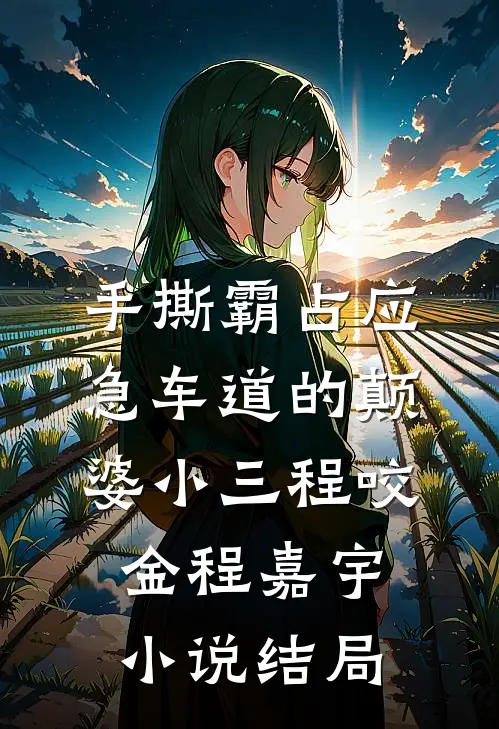 手撕霸占应急车道的颠婆小三程咬金程嘉宇小说结局