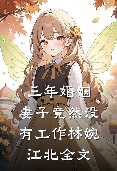 三年婚姻，妻子竟然没有工作林婉江北全文