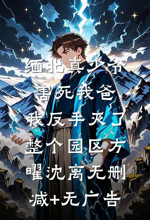 缅北真少爷害死我爸，我反手灭了整个园区方曜沈离无删减+无广告