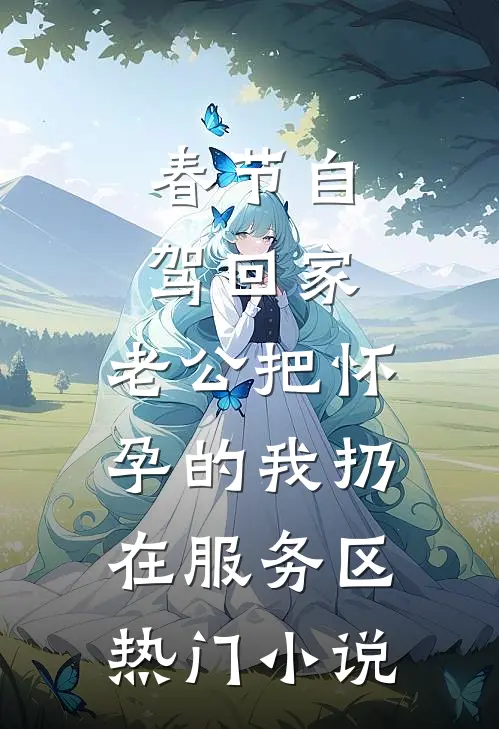 春节自驾回家，老公把怀孕的我扔在服务区热门小说