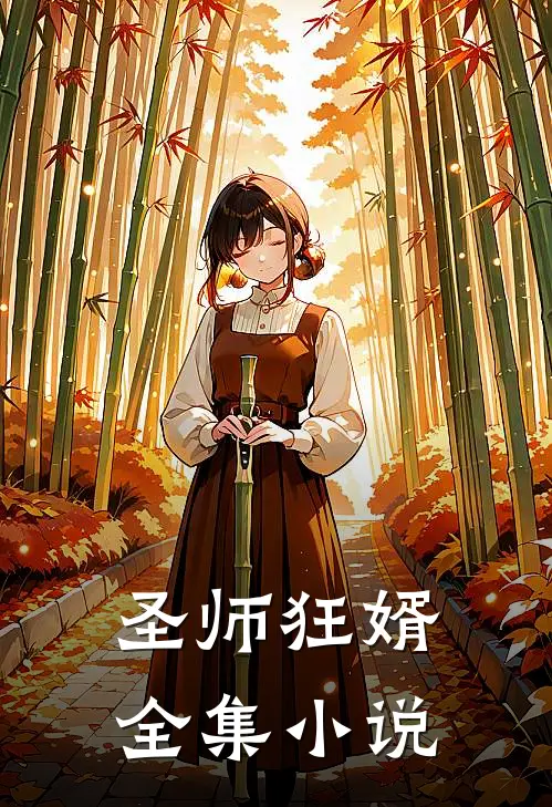 圣师狂婿全集小说
