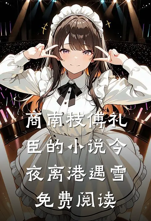 商南枝傅礼臣的小说今夜离港遇雪免费阅读