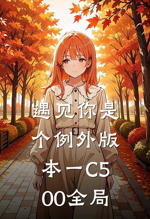 遇见你是个例外 版本一C500全局