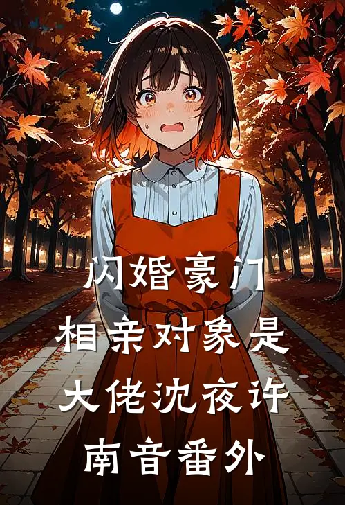 闪婚豪门：相亲对象是大佬沈夜许南音 番外