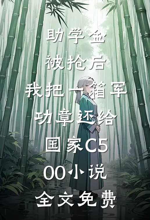 助学金被抢后，我把一箱军功章还给国家C500小说全文免费