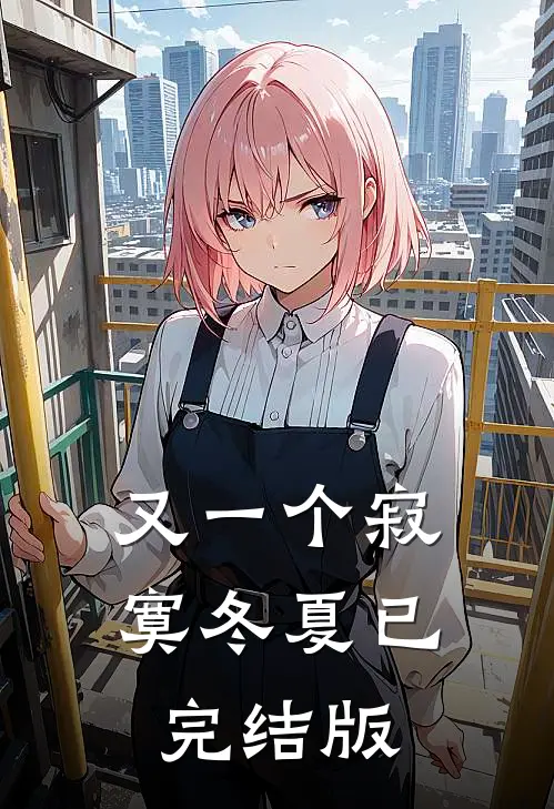 又一个寂寞冬夏已完结版