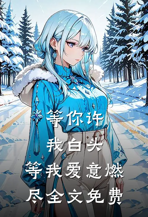 等你许我白头，等我爱意燃尽全文免费