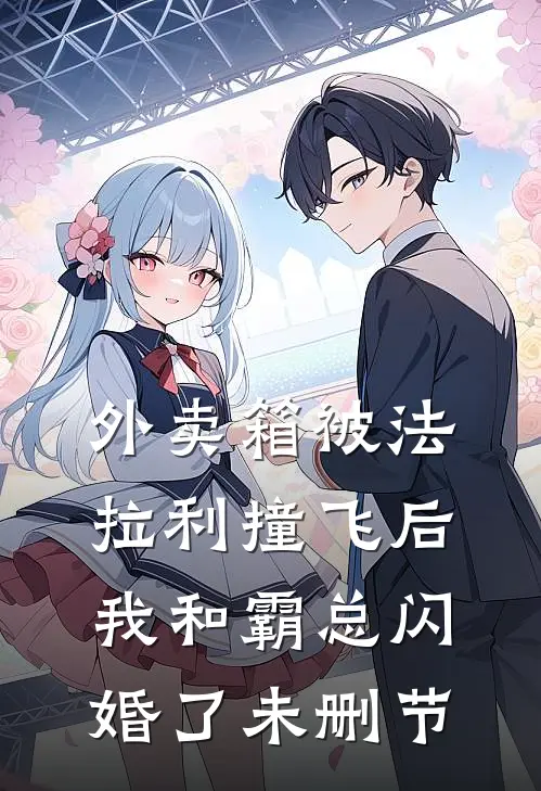 外卖箱被法拉利撞飞后，我和霸总闪婚了未删节