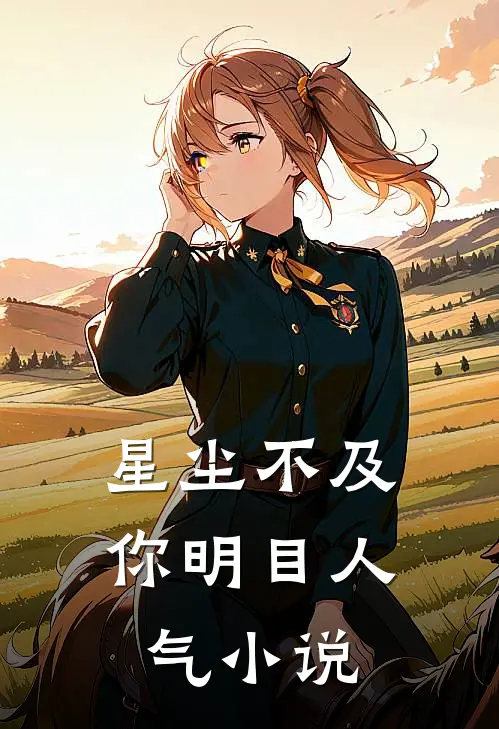 星尘不及你明目人气小说