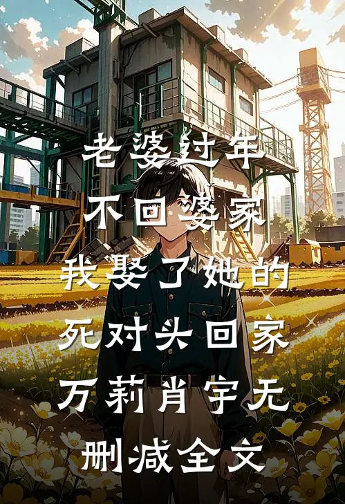 老婆过年不回婆家，我娶了她的死对头回家万莉肖宇无删减全文