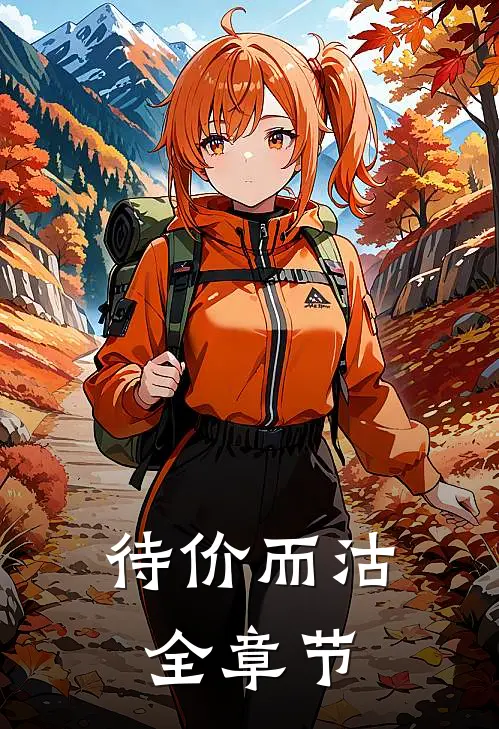 待价而沽全章节