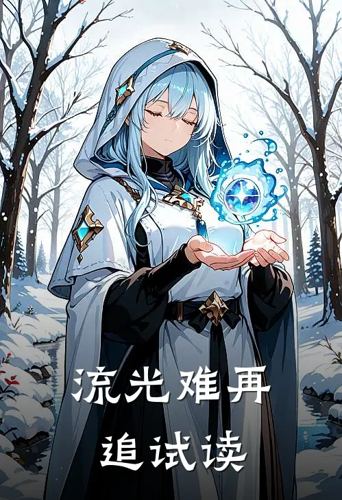 流光难再追试读
