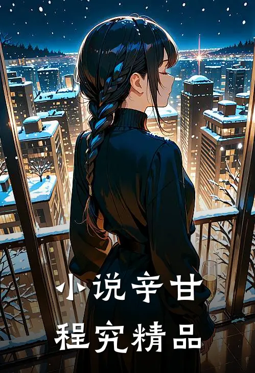 小说辛甘程究精品