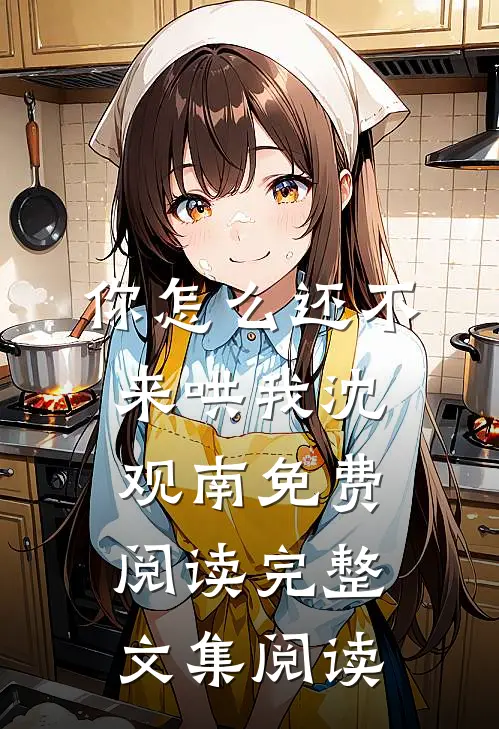 你怎么还不来哄我沈观南免费阅读完整文集阅读