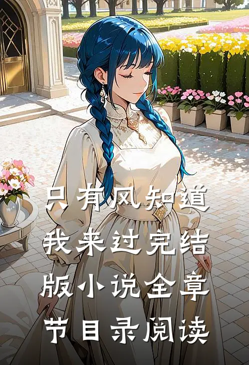 只有风知道我来过完结版小说全章节目录阅读