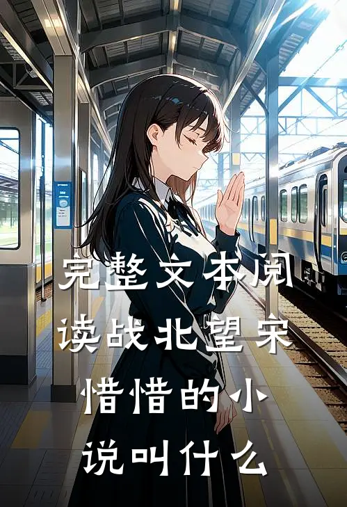完整文本阅读战北望宋惜惜的小说叫什么