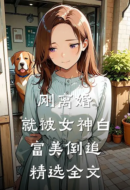刚离婚，就被女神白富美倒追精选全文