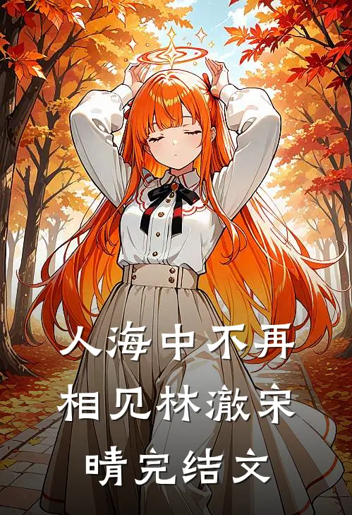 人海中不再相见林澈宋晴完结文