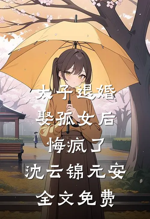 太子退婚娶孤女后,悔疯了: 沈云锦元安全文免费