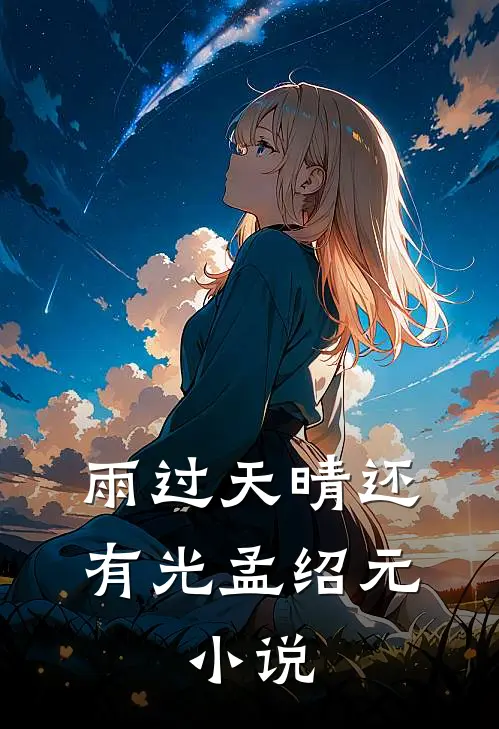 雨过天晴还有光孟绍元： 小说