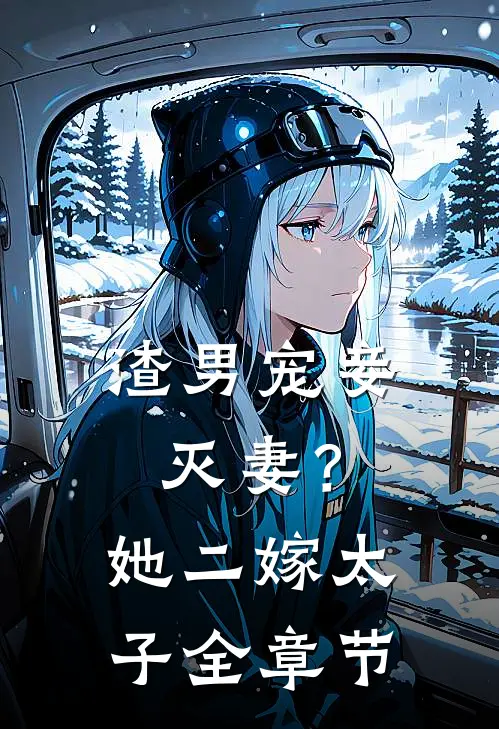 渣男宠妾灭妻？她二嫁太子全章节