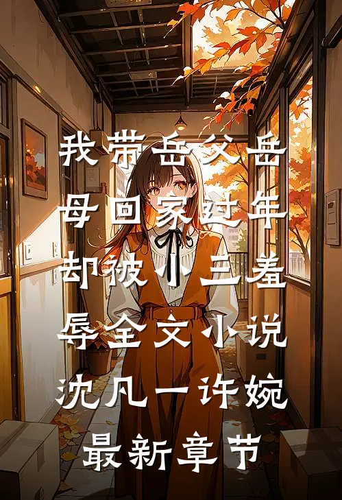 我带岳父岳母回家过年，却被小三羞辱全文小说沈凡一许婉最新章节
