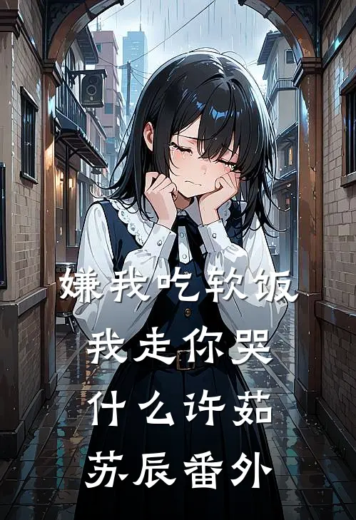 嫌我吃软饭，我走你哭什么许茹苏辰 番外
