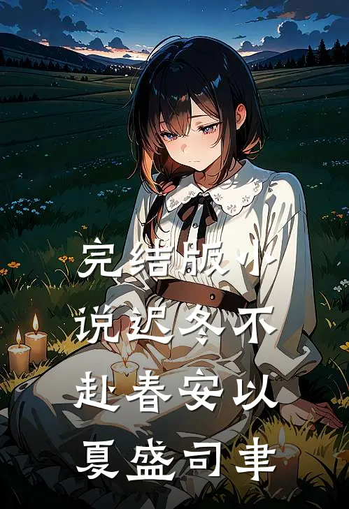 完结版小说迟冬不赴春安以夏盛司聿