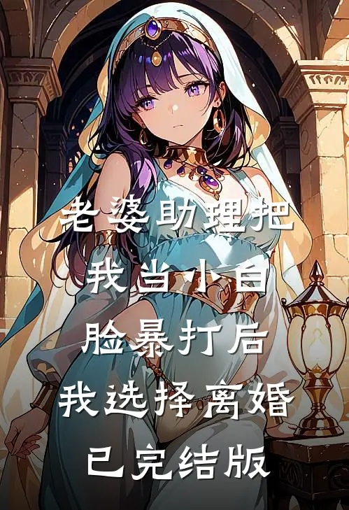 老婆助理把我当小白脸暴打后，我选择离婚已完结版